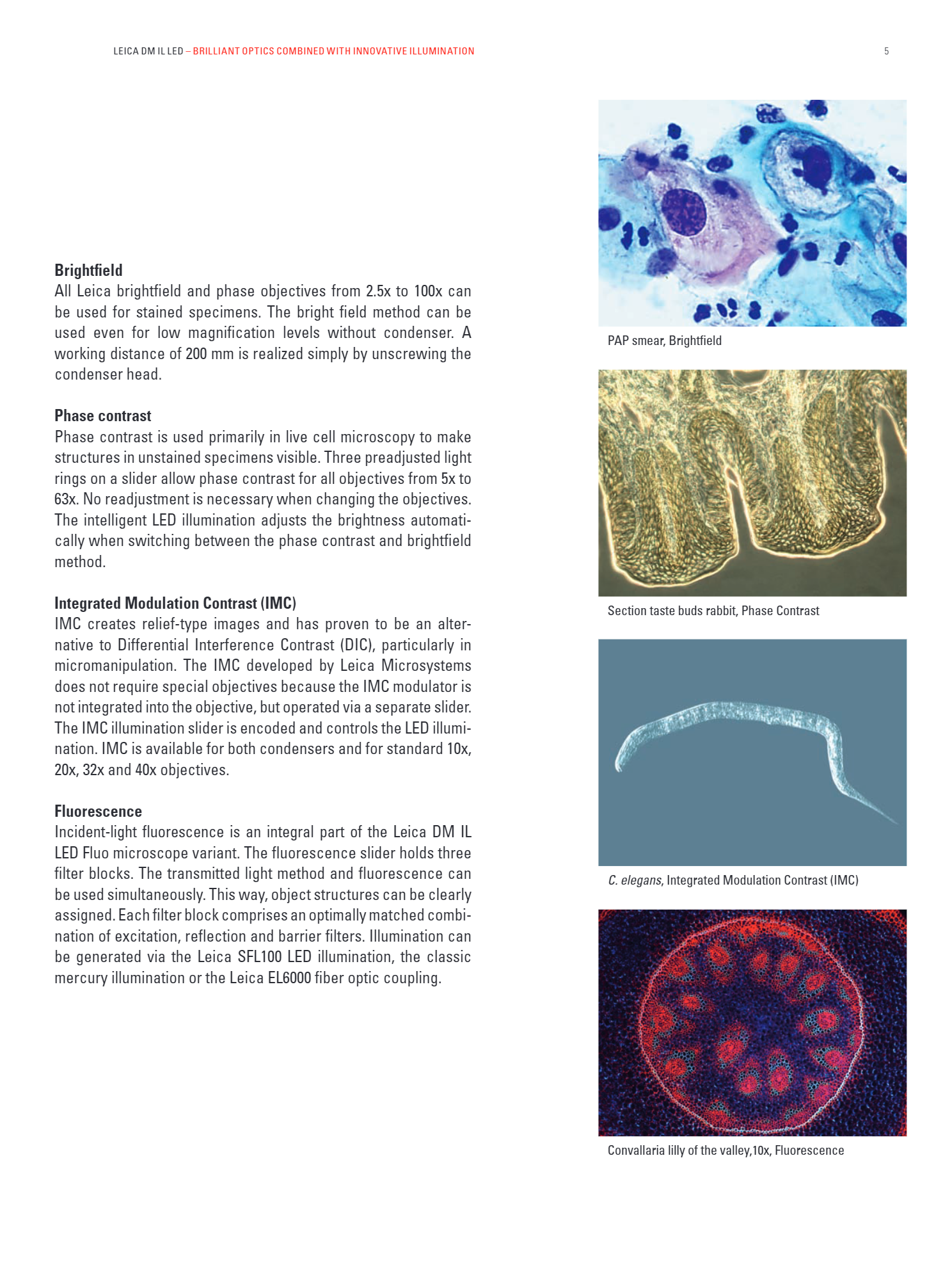 Leica_DM_IL_LED-Brochure_en5.jpg