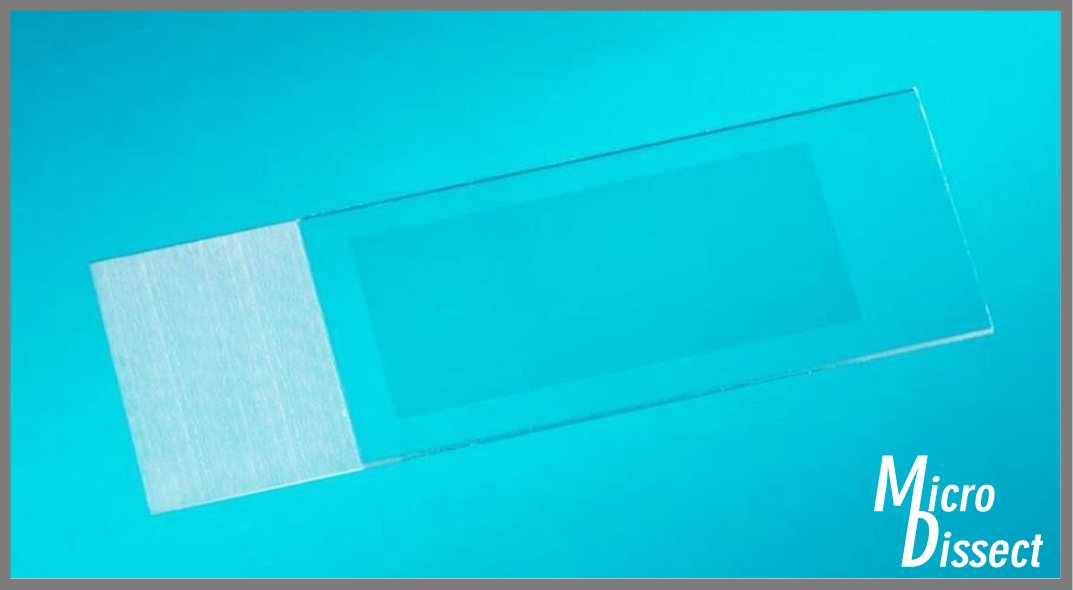 11505158  PEN MembranSlide, glass, 50 slides