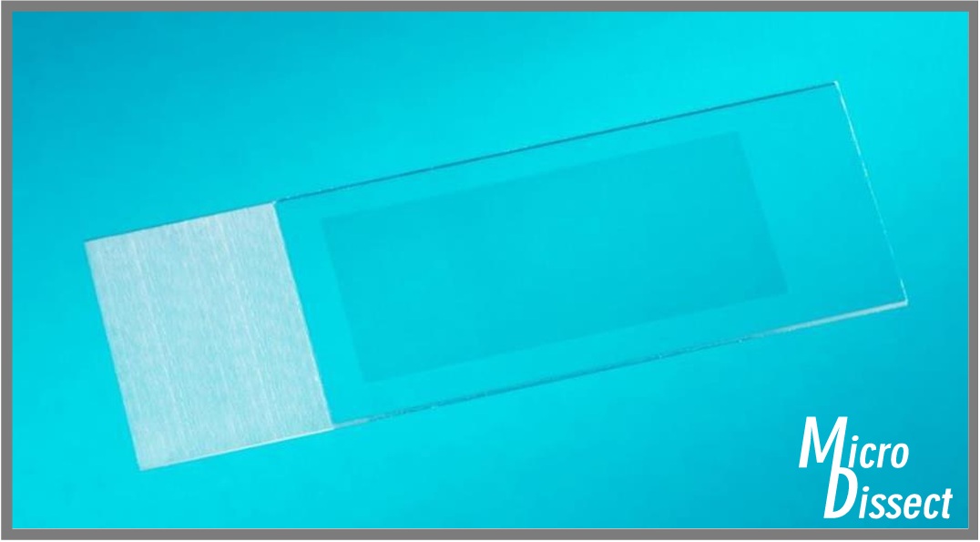 11505215 PEN MembranSlides,glass,large,4x25 pcs