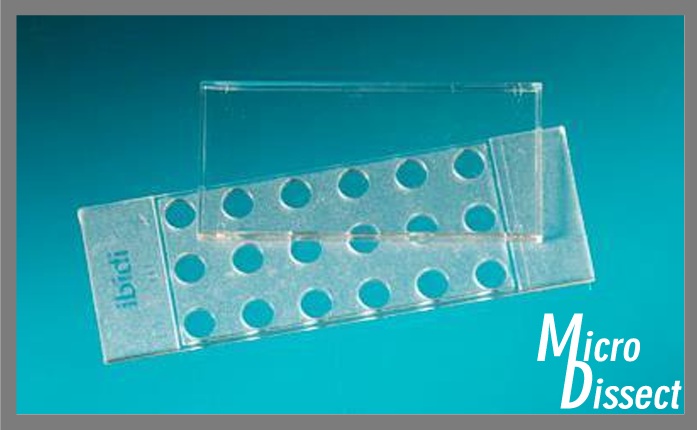 11505240 µ-Slide w. membrane, 18well,ibidi,15 pcs